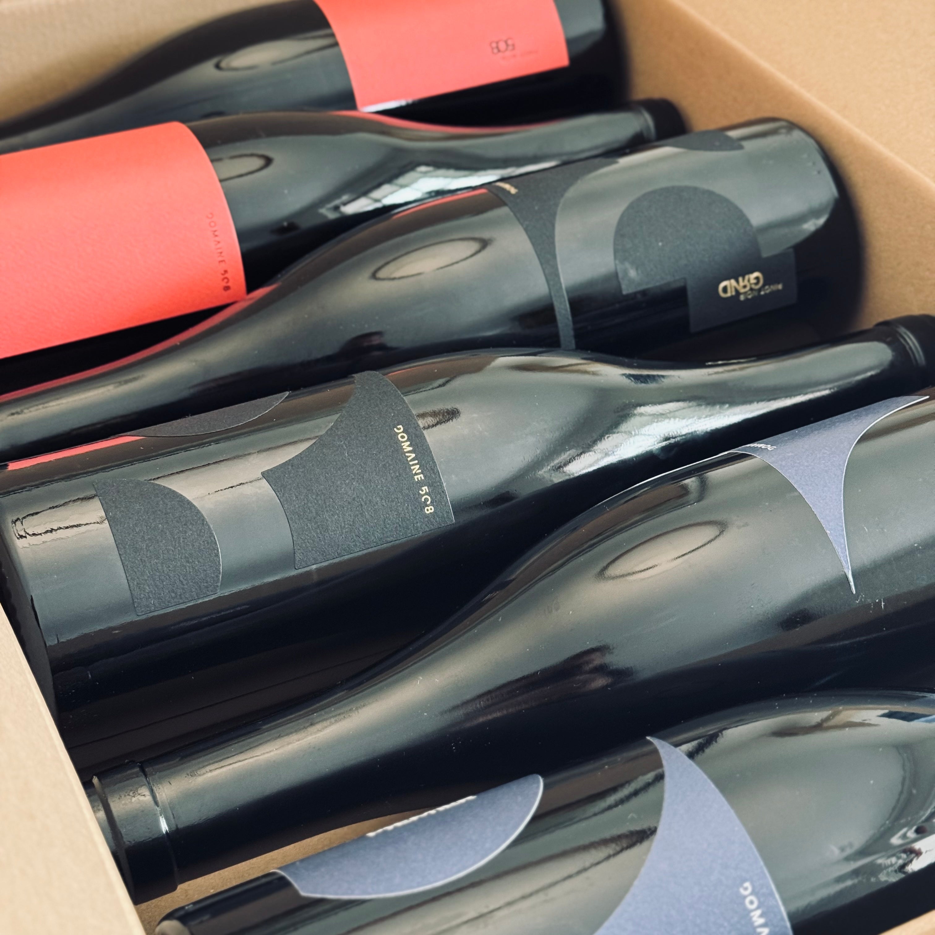 Degu-Box: Pinot Noir 2023