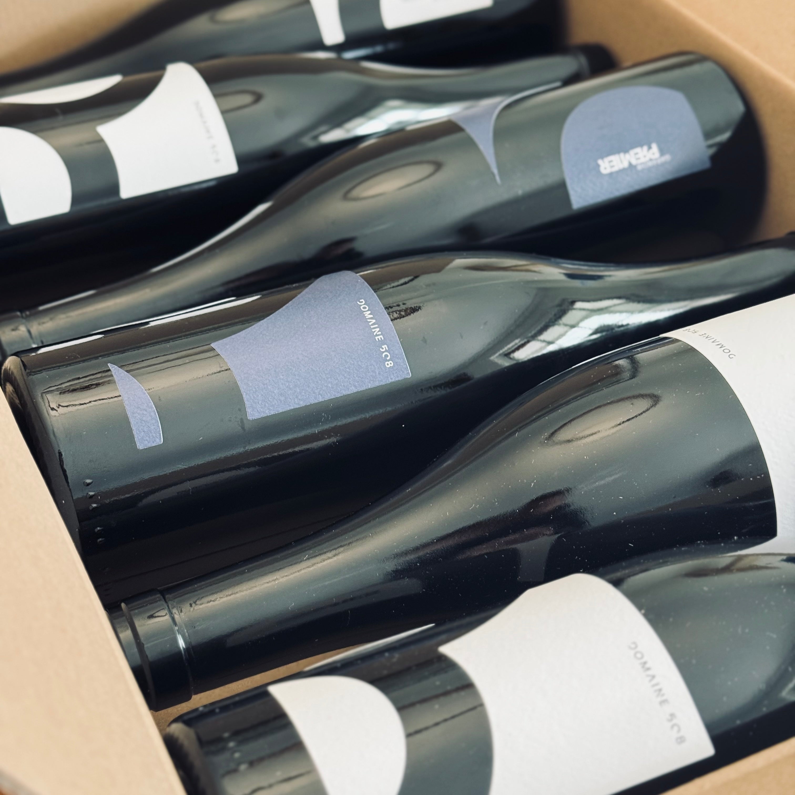 Degu-Box: Prem1er 2023